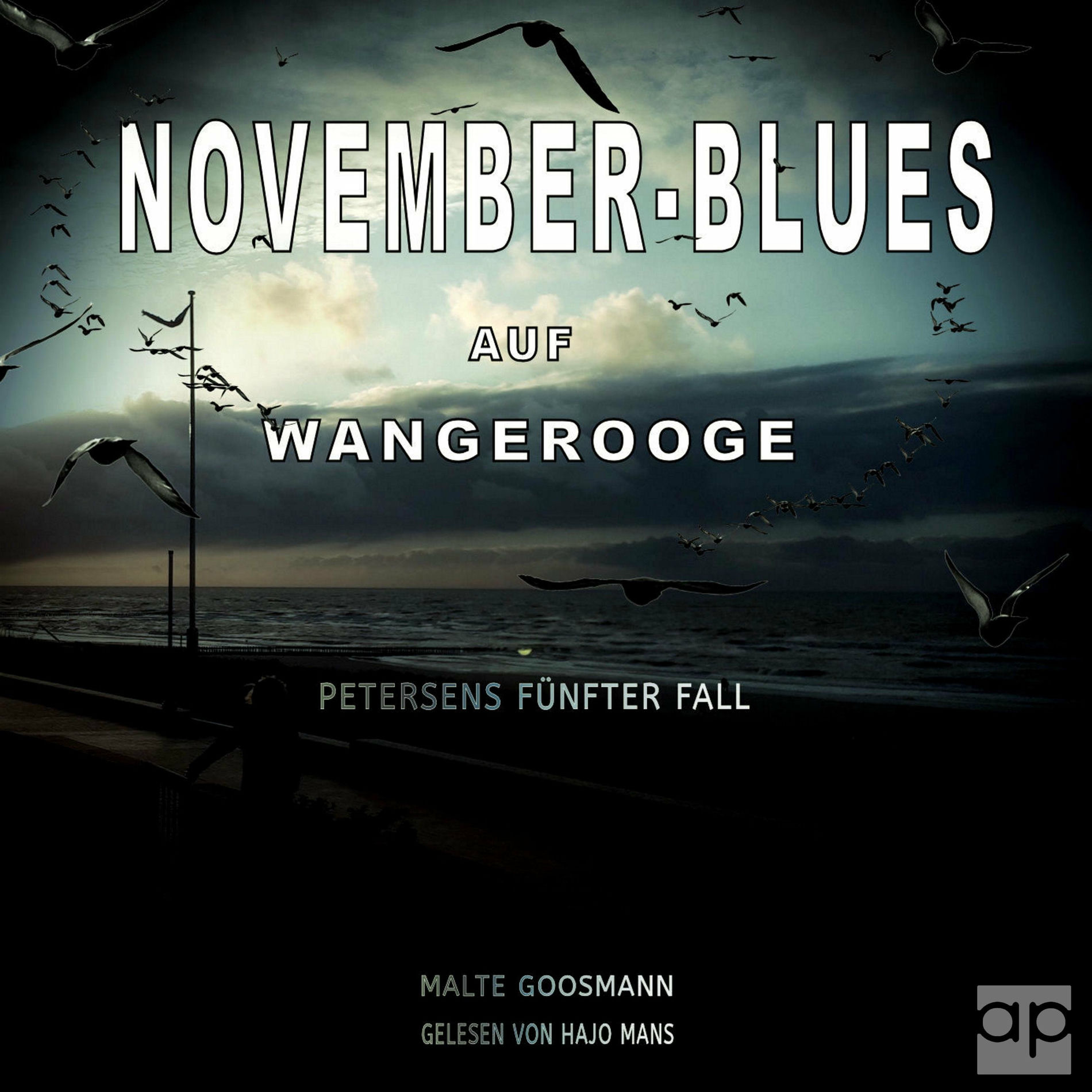 Album cover of November-Blues auf Wangerooge (Petersens fünfter Fall)