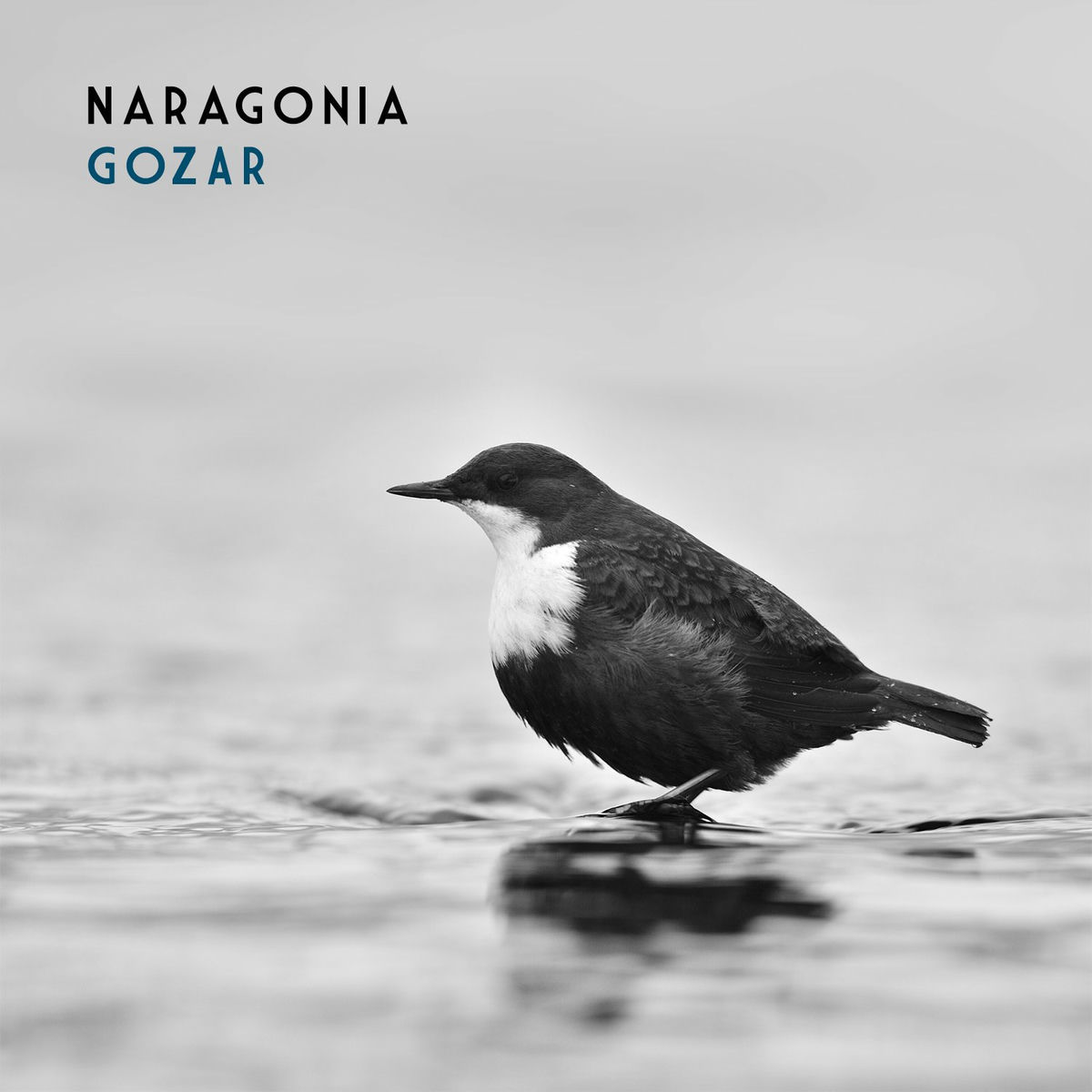 Album cover of Gozar