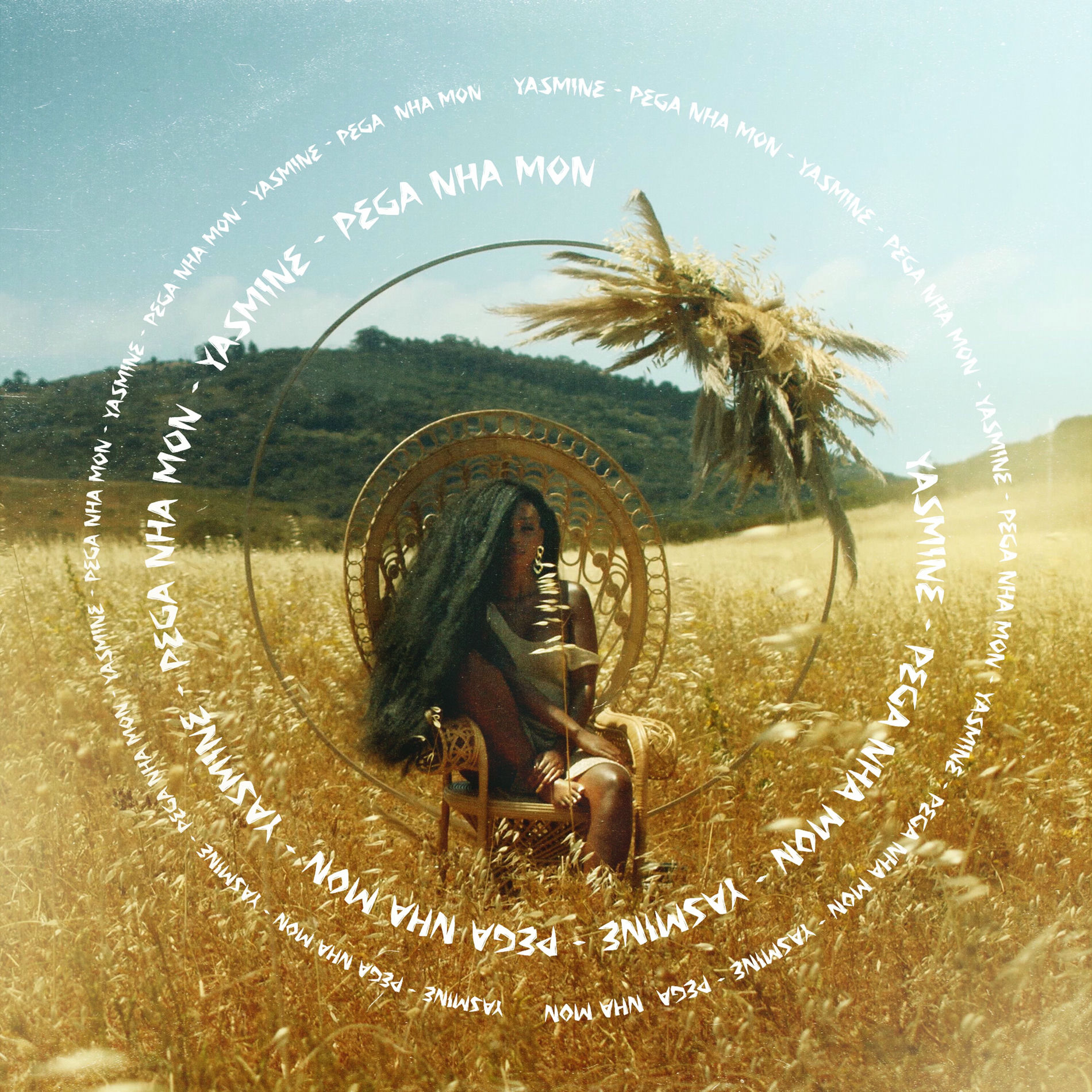 Album cover of Pega Nha Mon