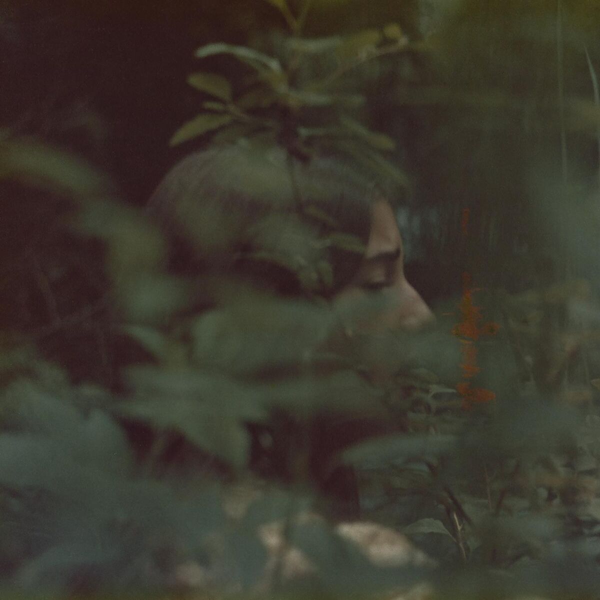 Album cover of Eight