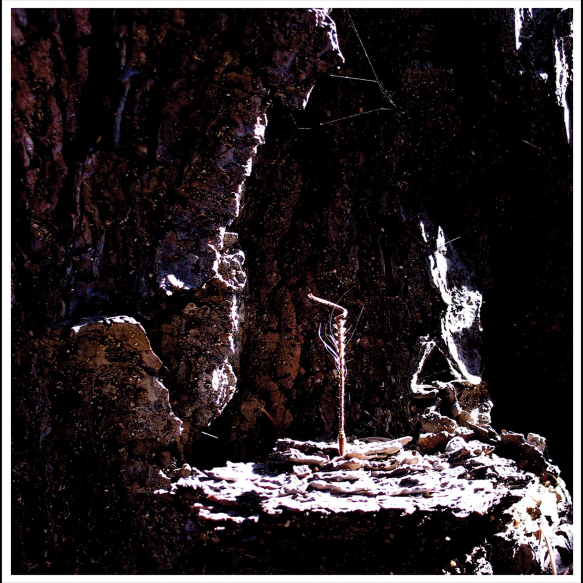 Album cover of Coveting