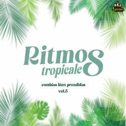 Cover of Cumbias Bien Prendidas Vol. 5