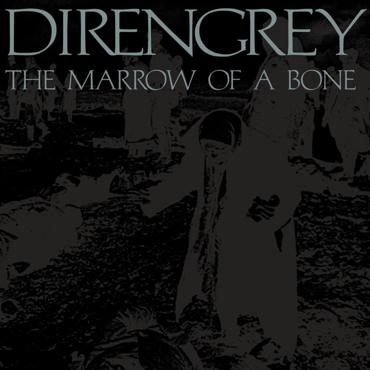 Album cover of The Marrow Of A Bone