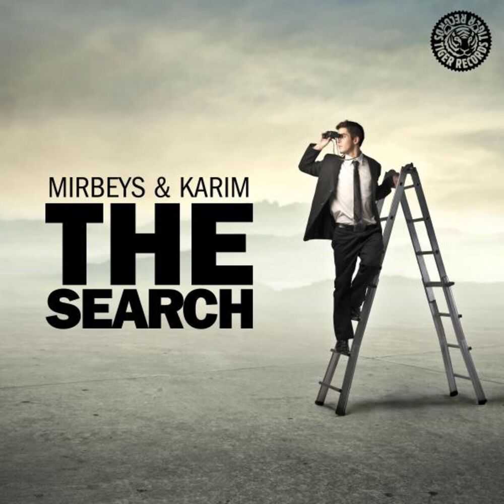 Picture of The Search