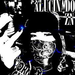 Cover of ZN ALUCINADO
