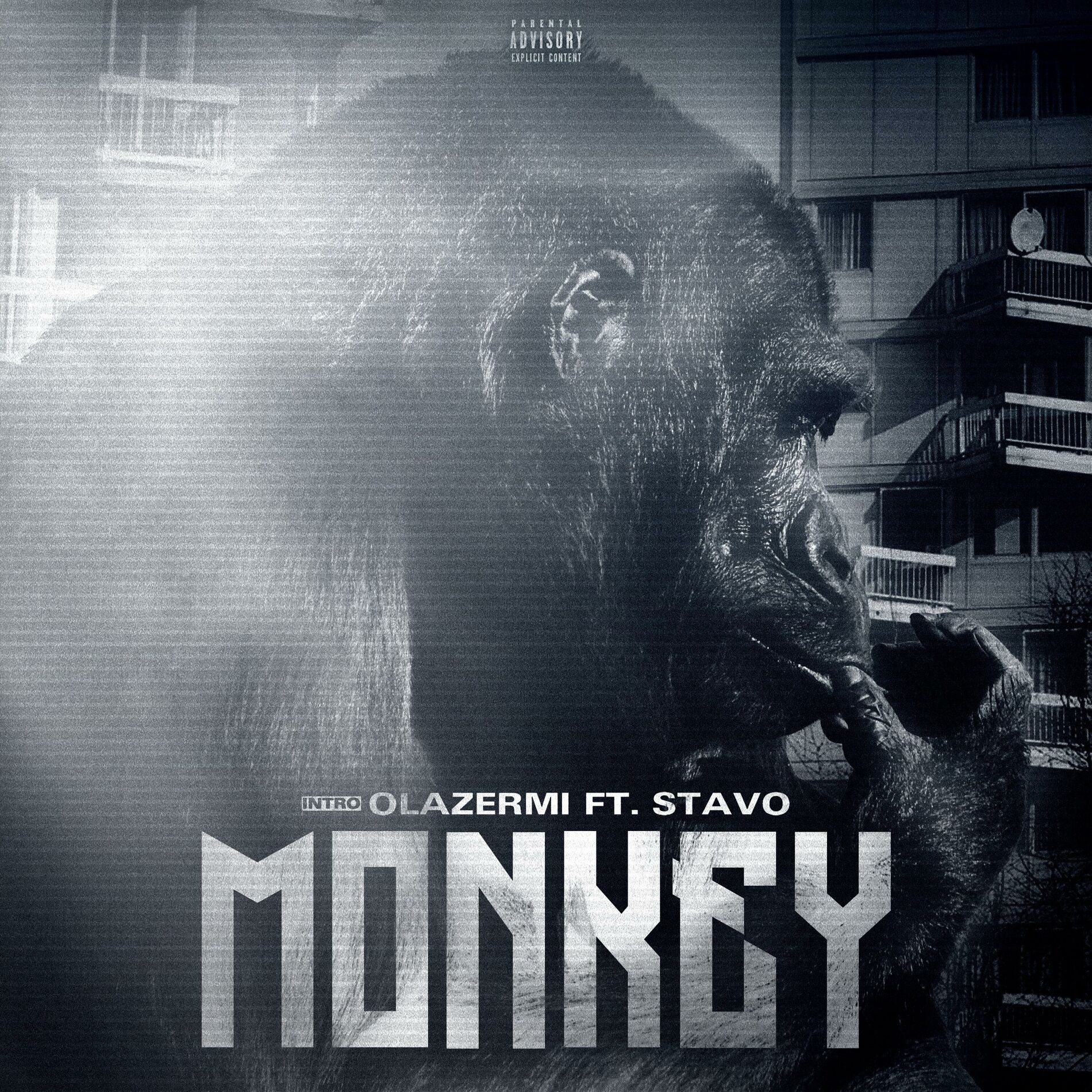 Album cover of Monkey (feat. Stavo)