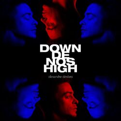 Cover of Down de nos high