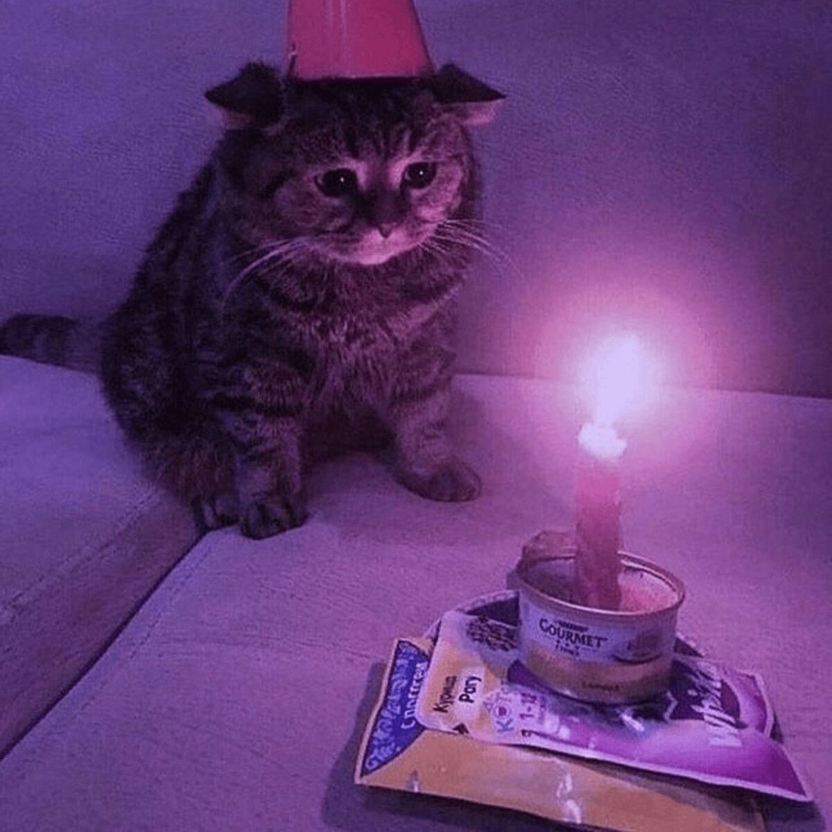 Album cover of Birthday Pillowtalk
