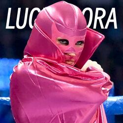 Cover of luchadora