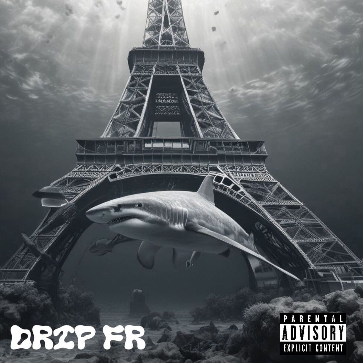 Album cover of DRIP FR