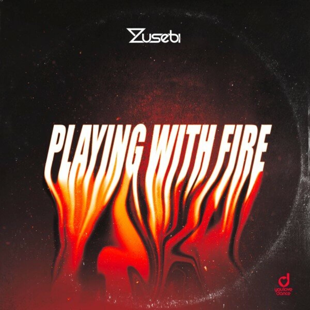 Album cover of Playing With Fire