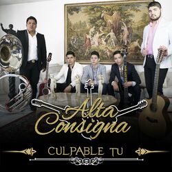 Cover of Culpable Tú