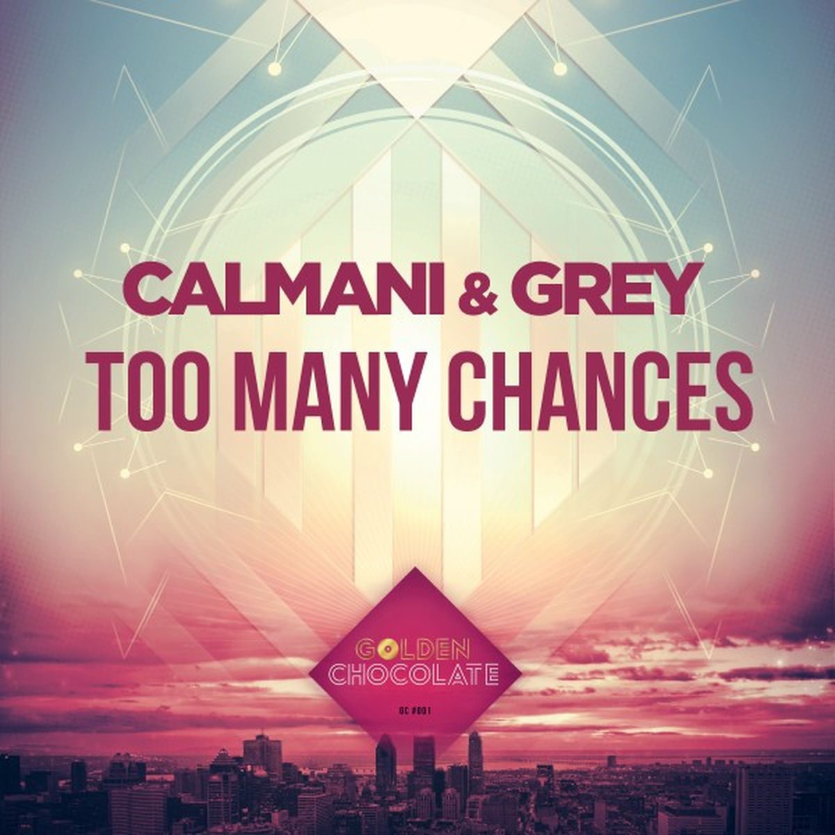 Album cover of Too Many Chances
