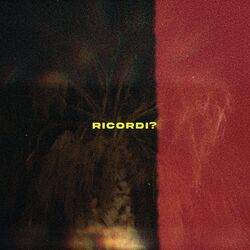 Cover of Ricordi?
