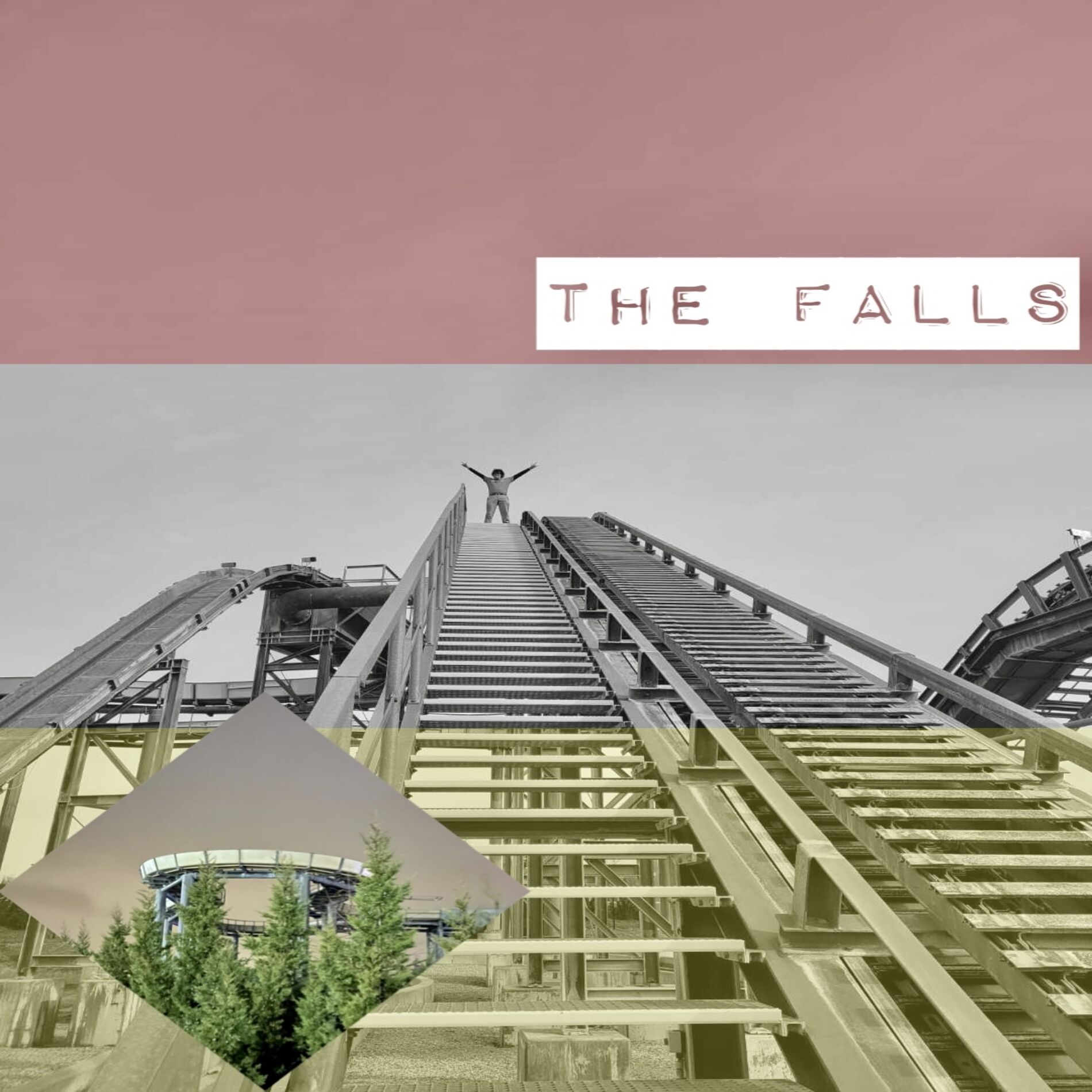 Album cover of The Falls