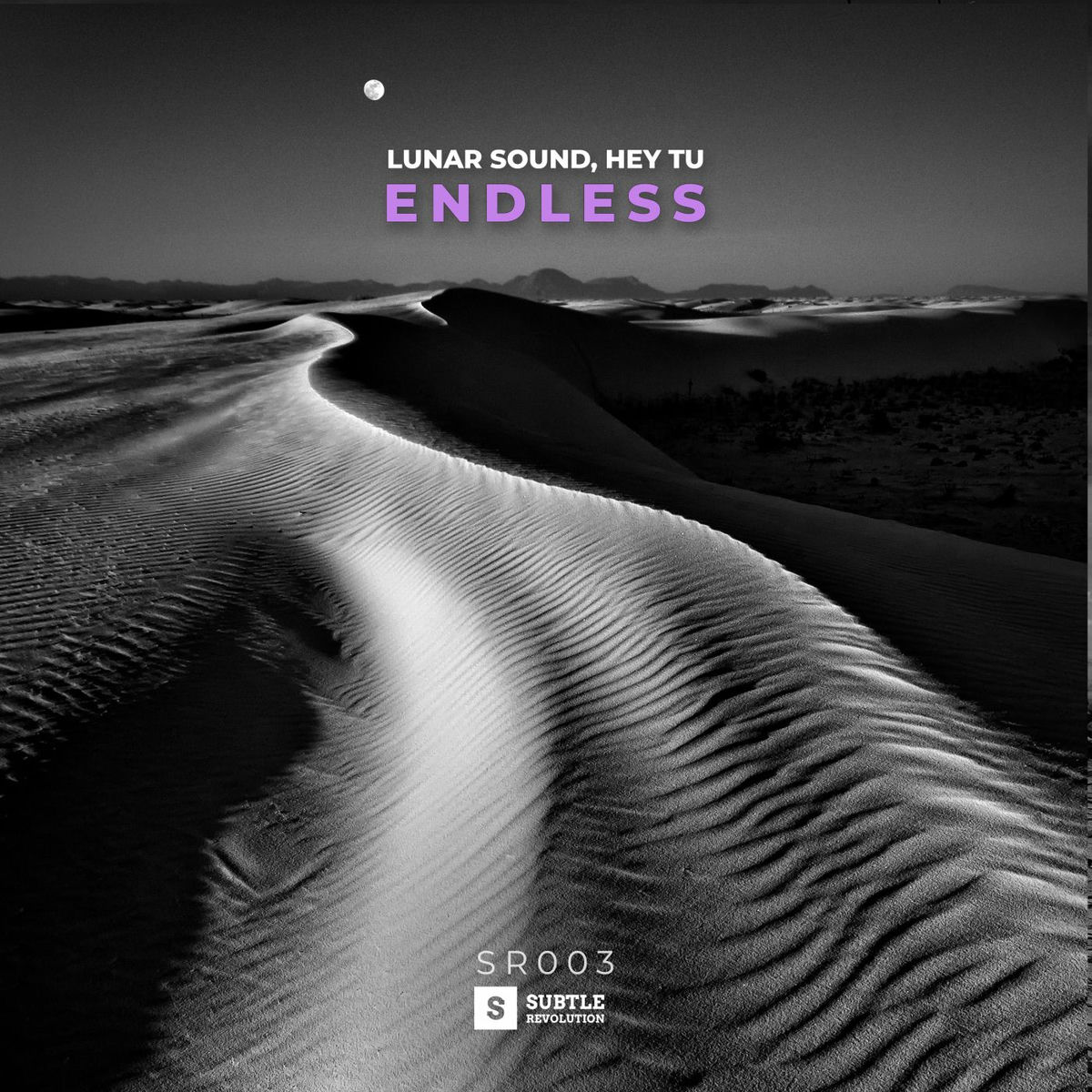 Album cover of Endless