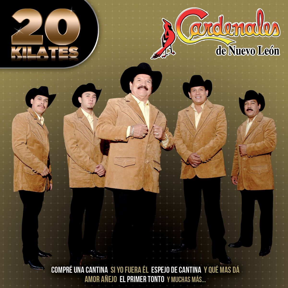 Album cover of 20 Kilates