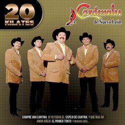 Cover of 20 Kilates