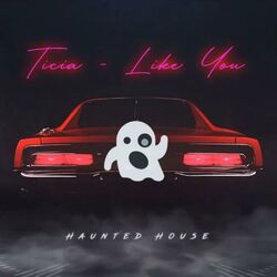 Cover of Like You
