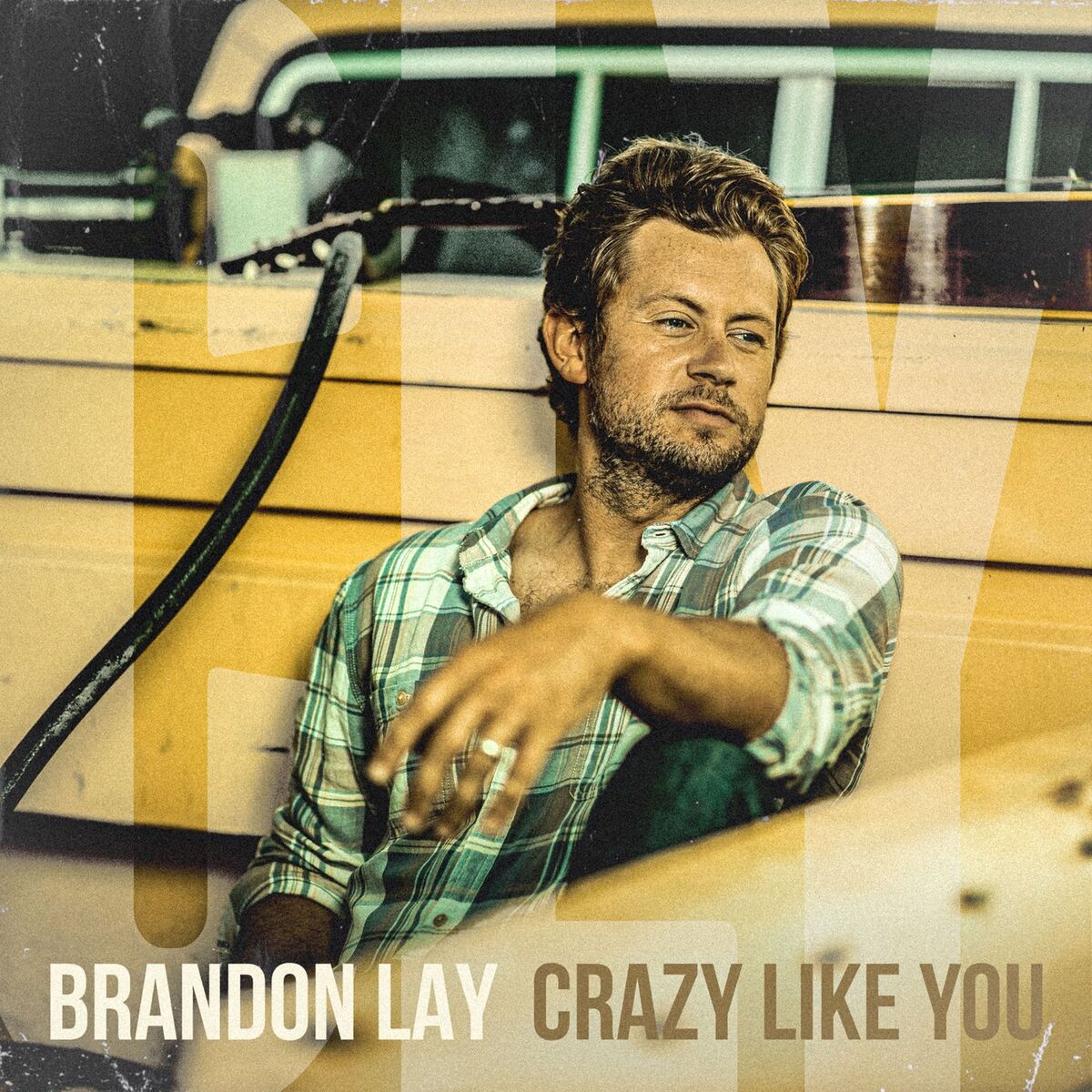 Album cover of Crazy Like You