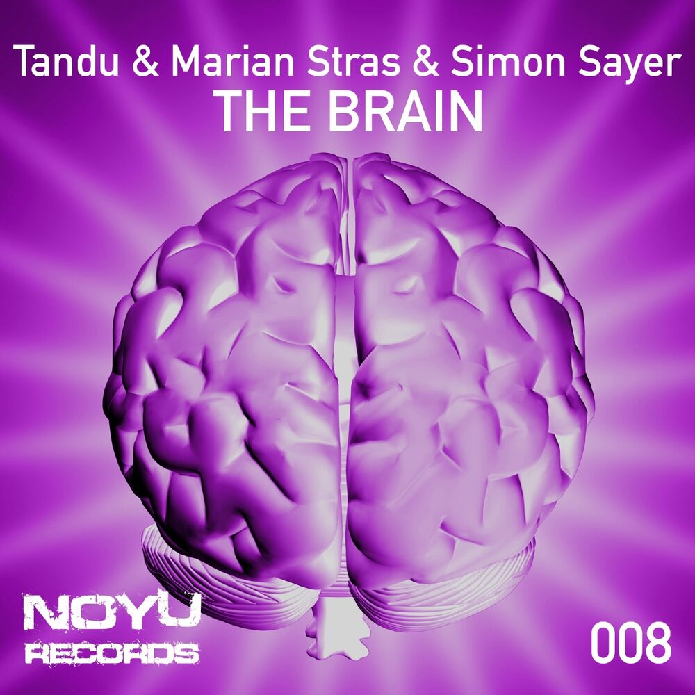 Picture of The Brain