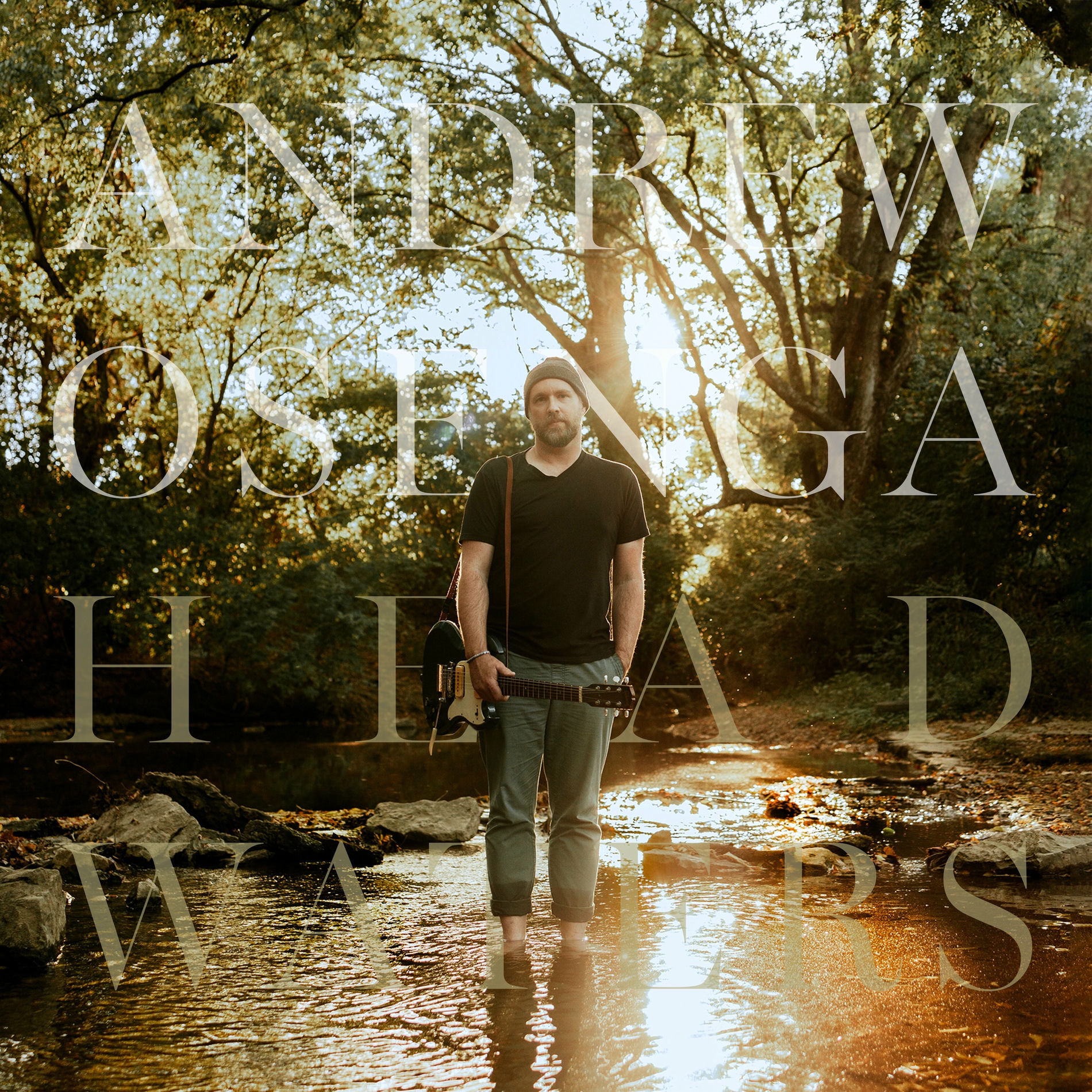 Album cover of Headwaters