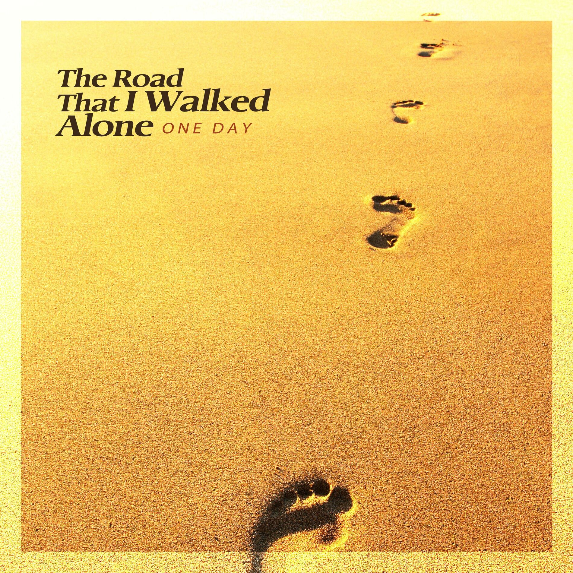 Album cover of The road that I walked alone
