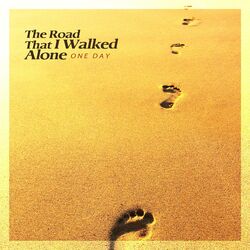 Cover of The road that I walked alone