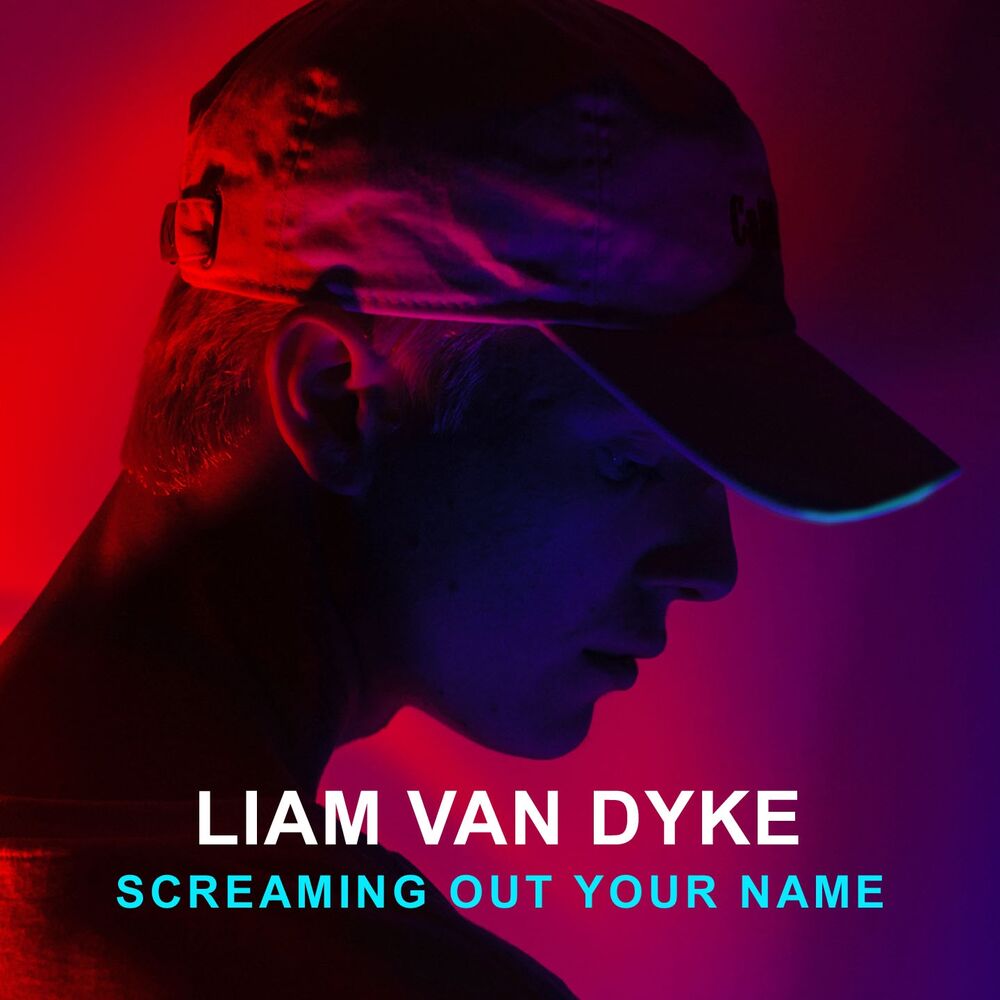 Picture of Screaming out Your Name