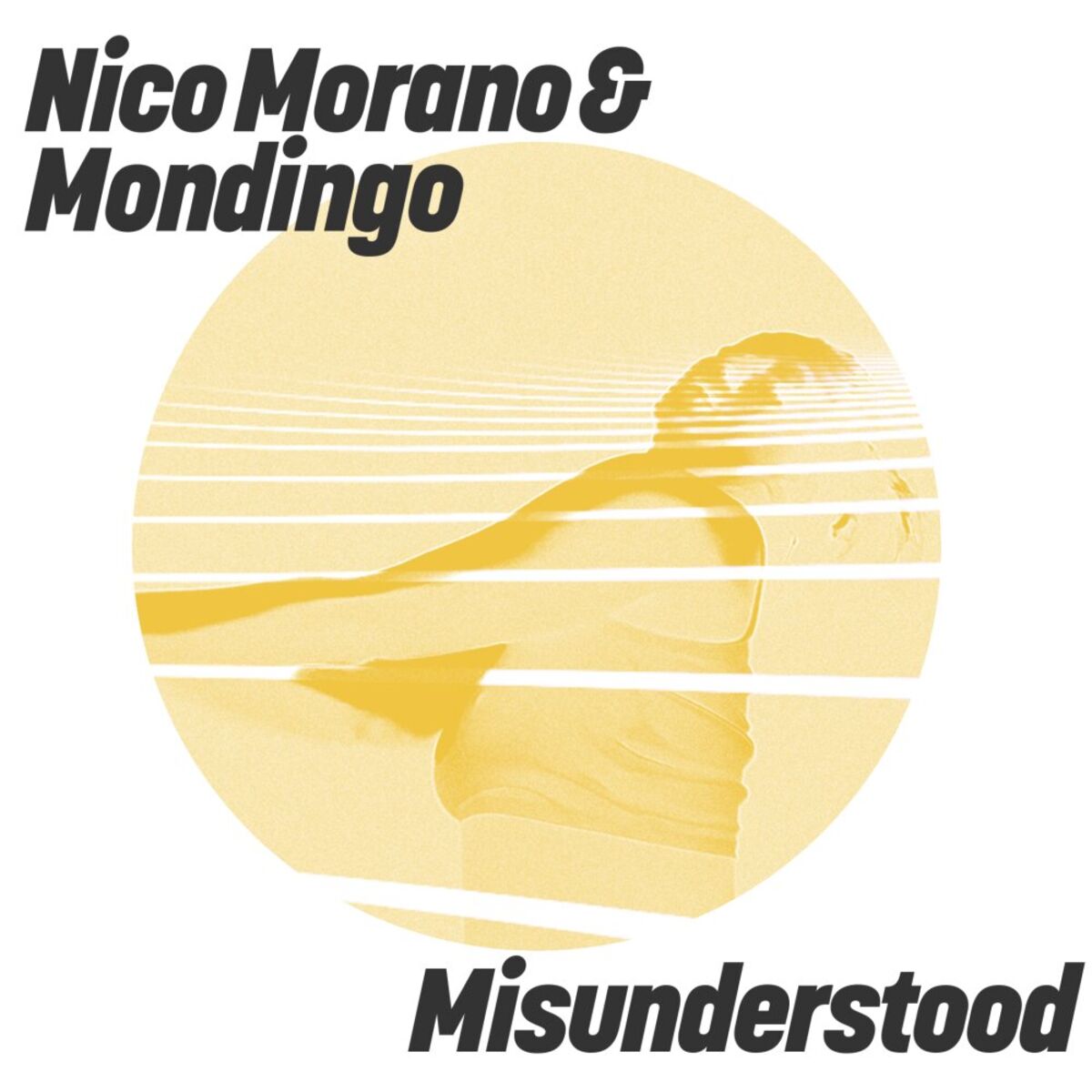 Album cover of Misunderstood