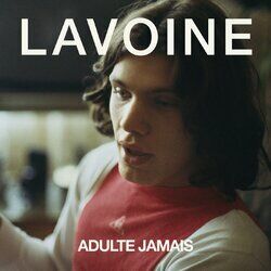 Cover of La fin d’une histoire