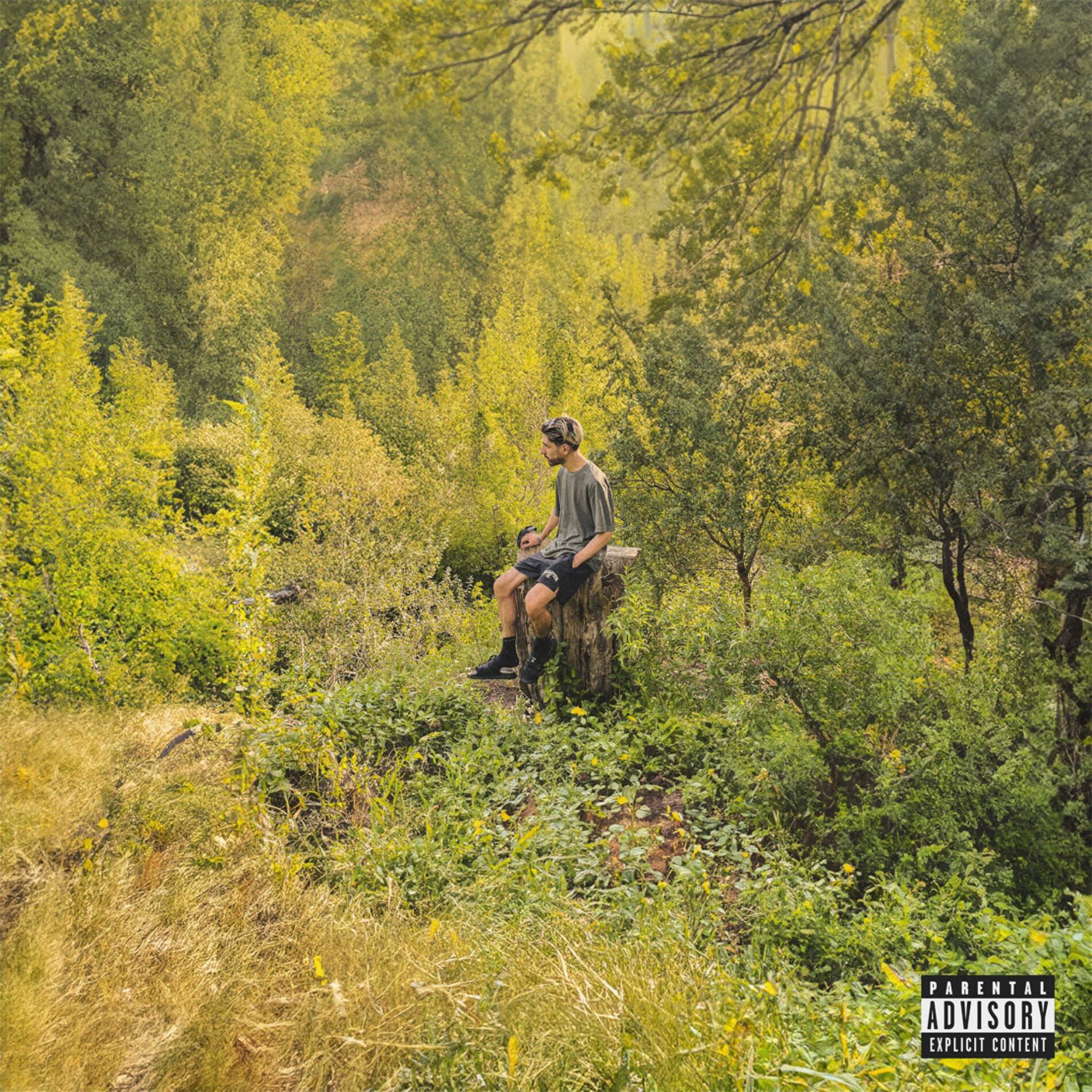 Album cover of NUMERITOS