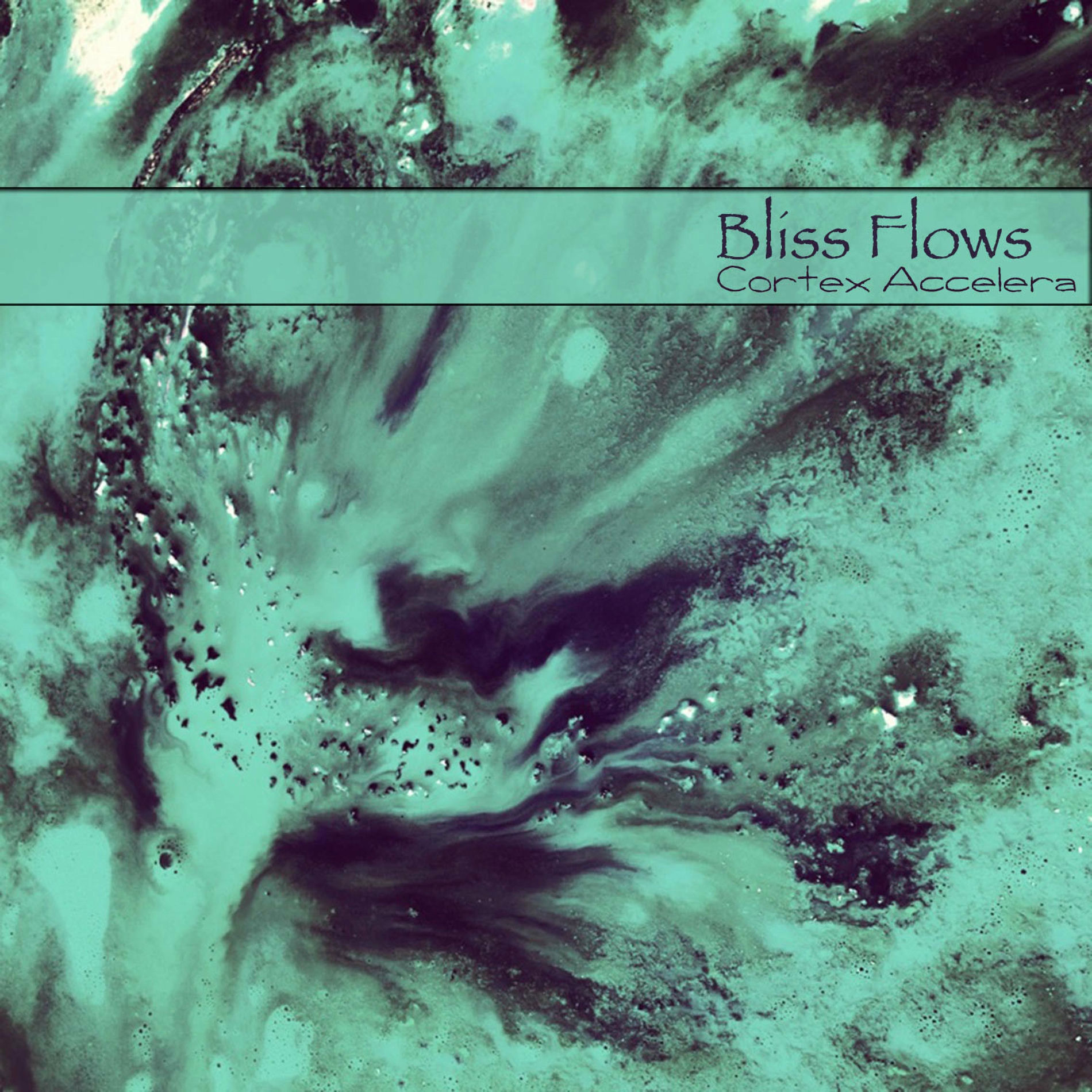 Album cover of Bliss Flows