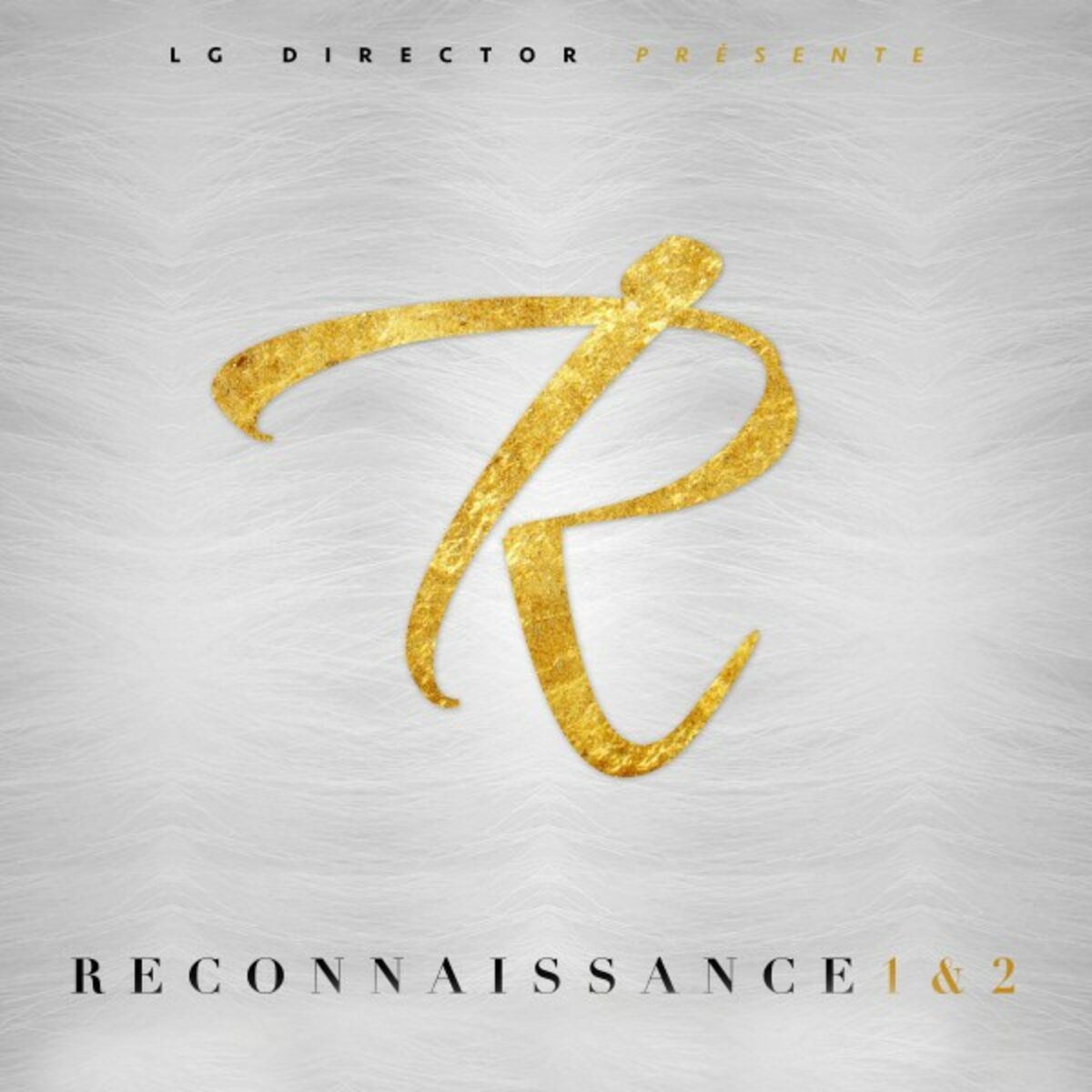 Album cover of Reconnaissance 1 & 2