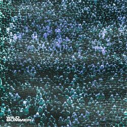 Cover of Wild Summer (feat. nobigdyl. & Jon Keith)