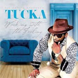 Cover of Working with the Feeling