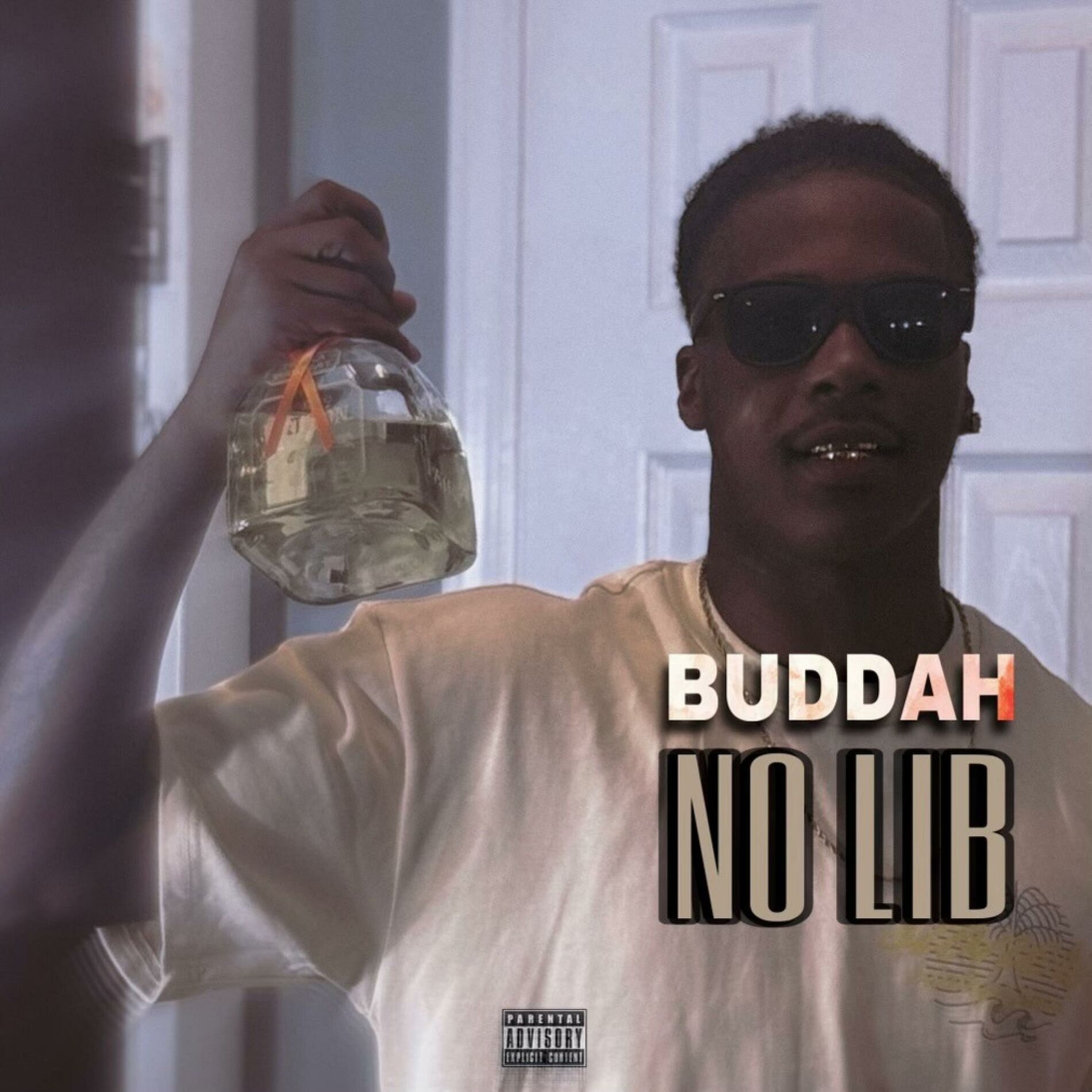 Album cover of No LIB