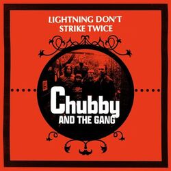 Cover of Lightning Don't Strike Twice