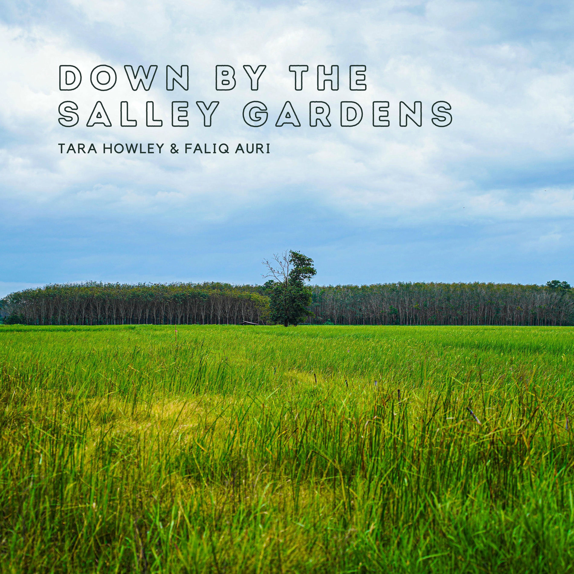 Album cover of Down by the Salley Gardens