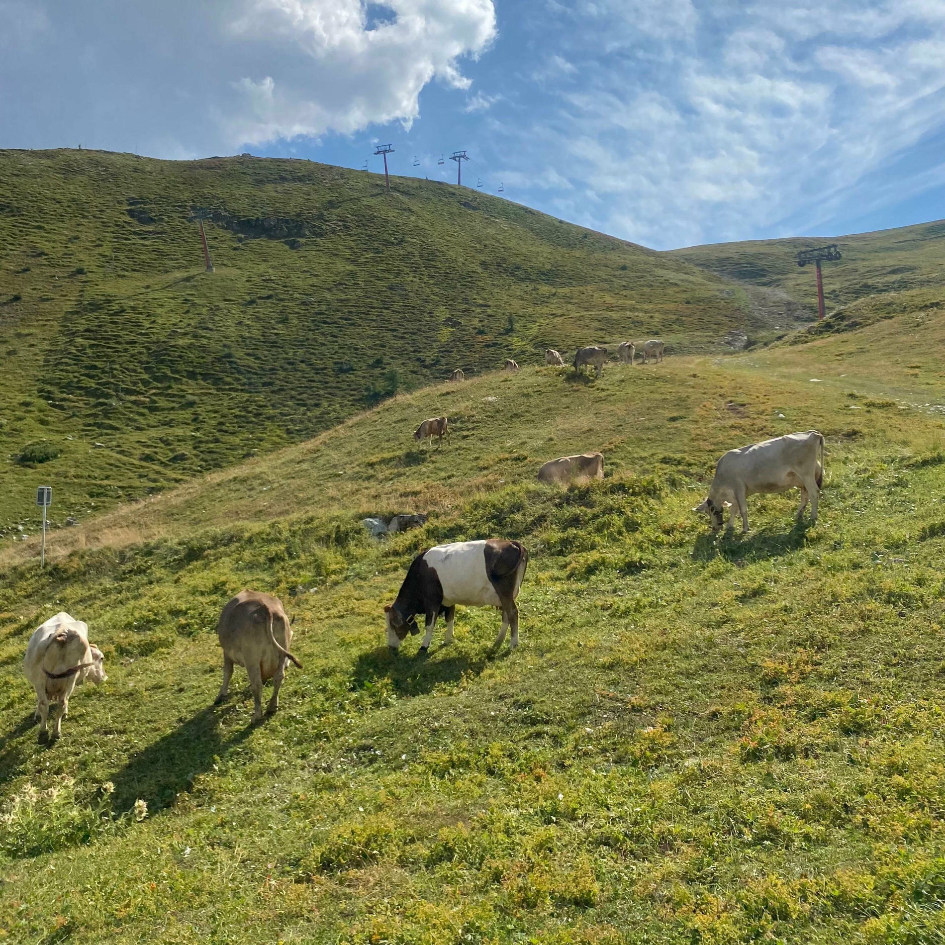 Album cover of SilsTape