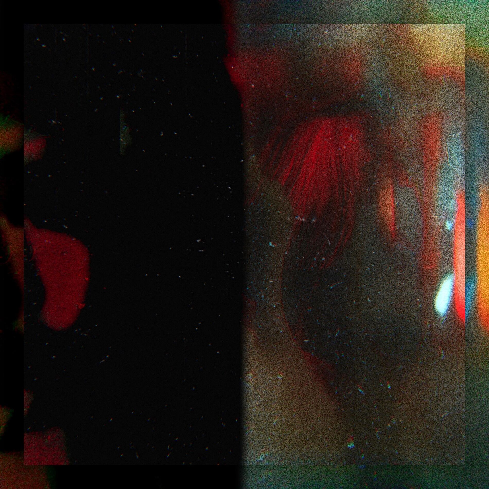 Album cover of Lose Face