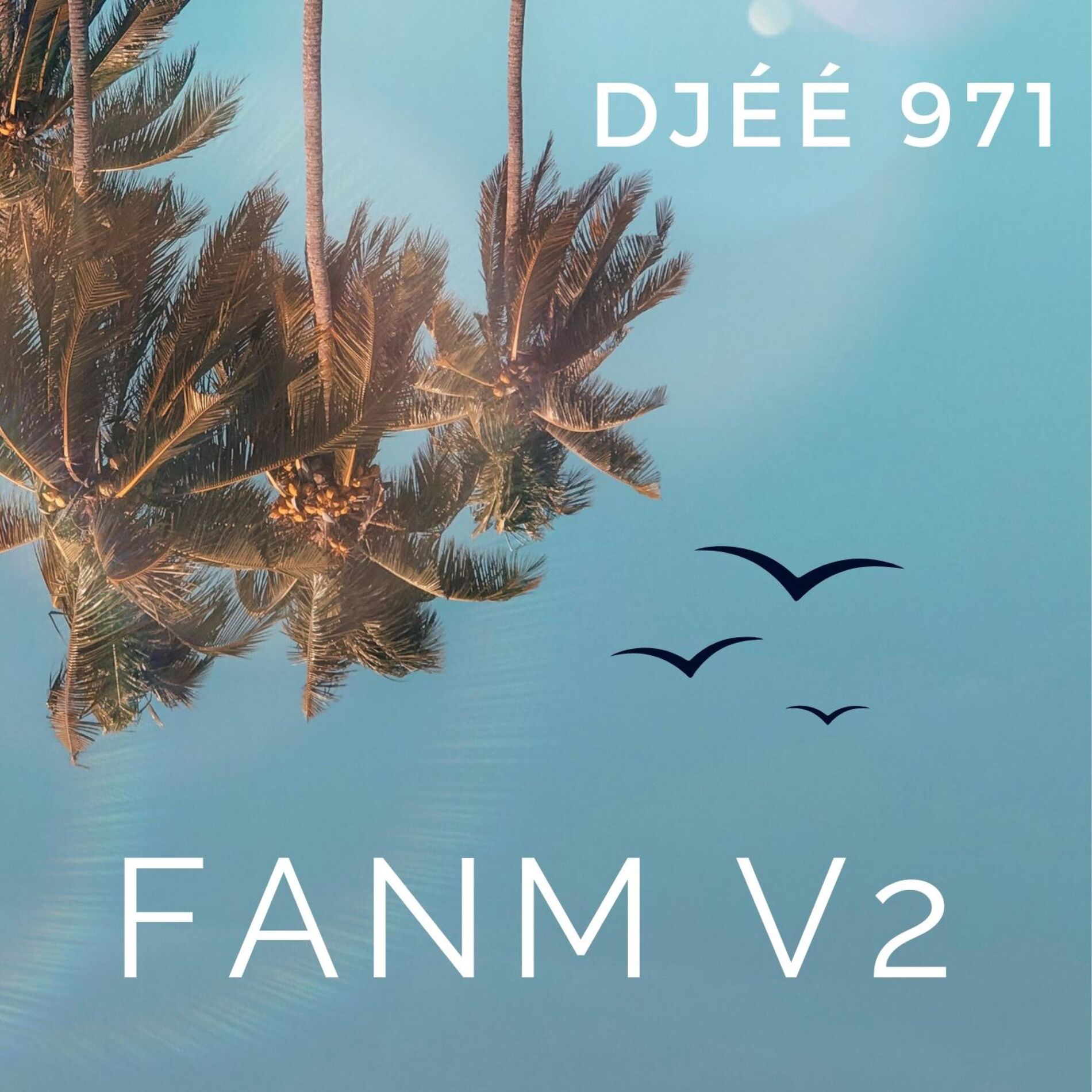 Album cover of V2 FANM KOMPA GOUYAD
