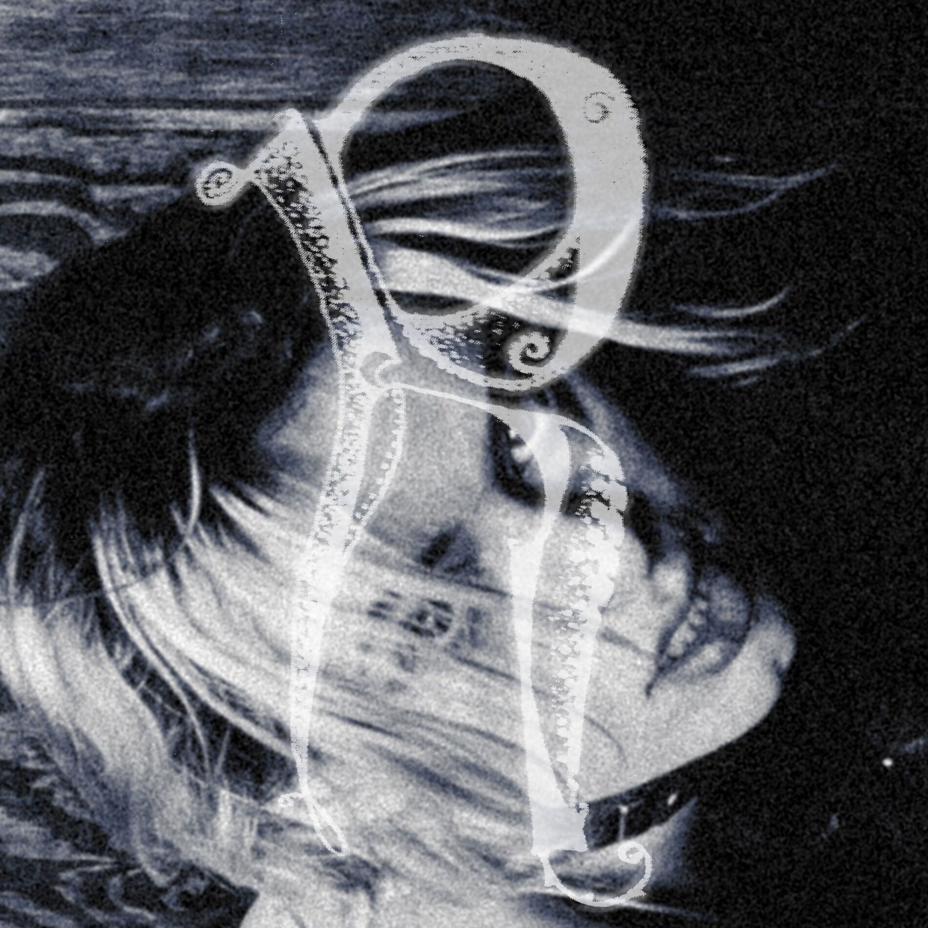 Album cover of Pulser