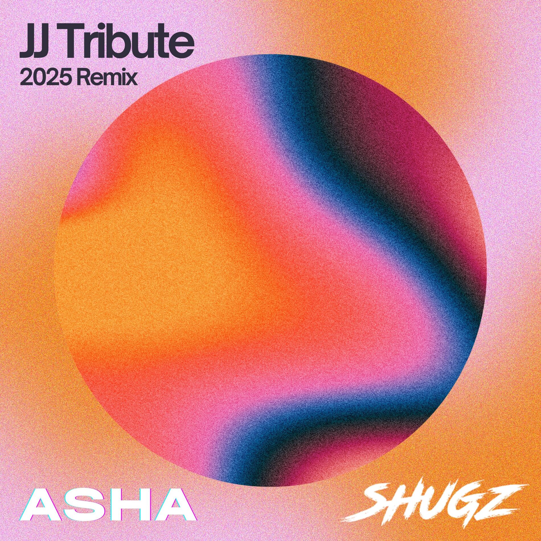 Album cover of JJ Tribute