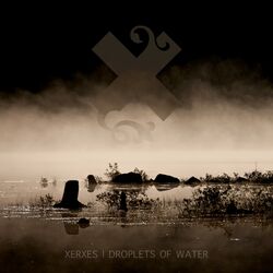 Cover of Droplets of Water