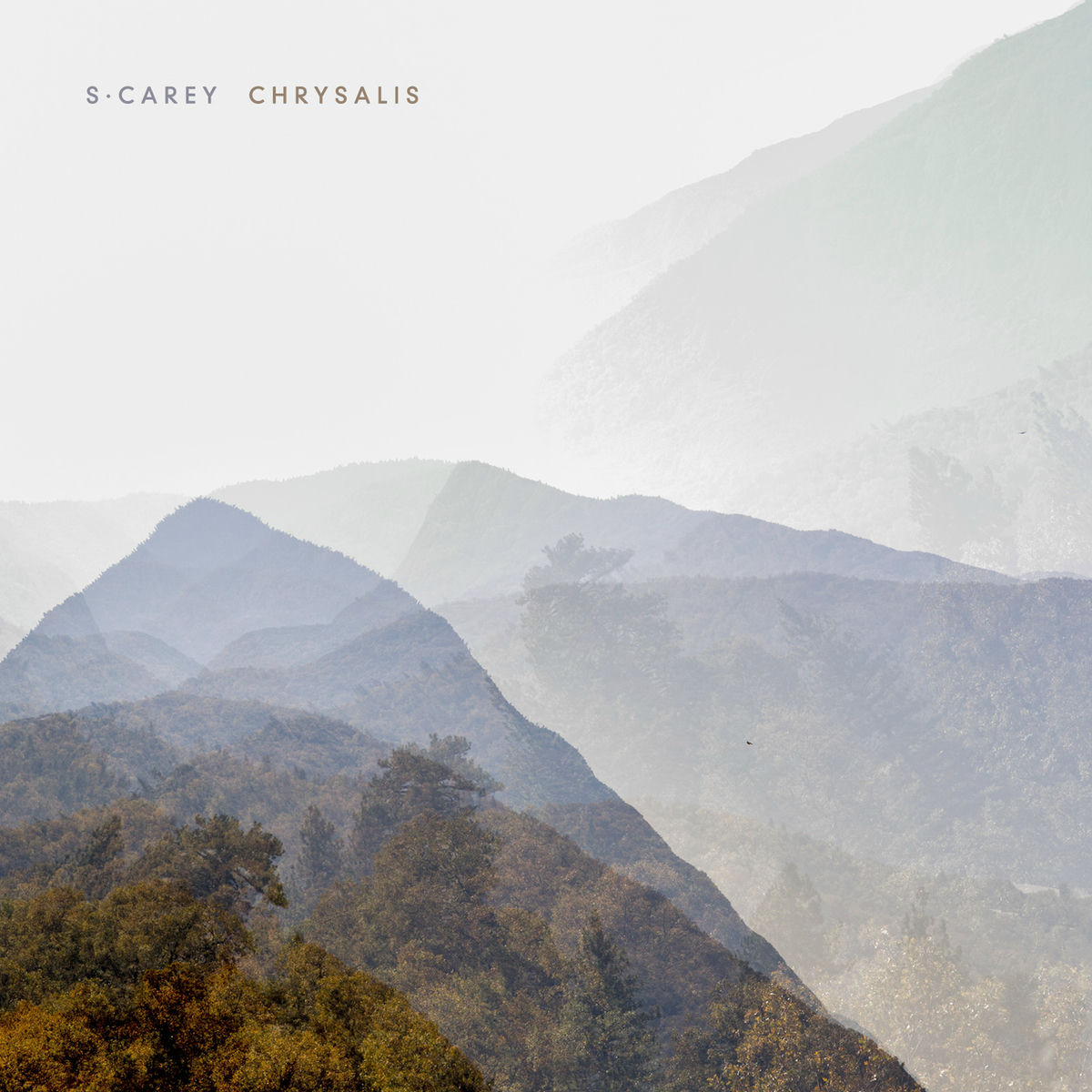 Album cover of Chrysalis