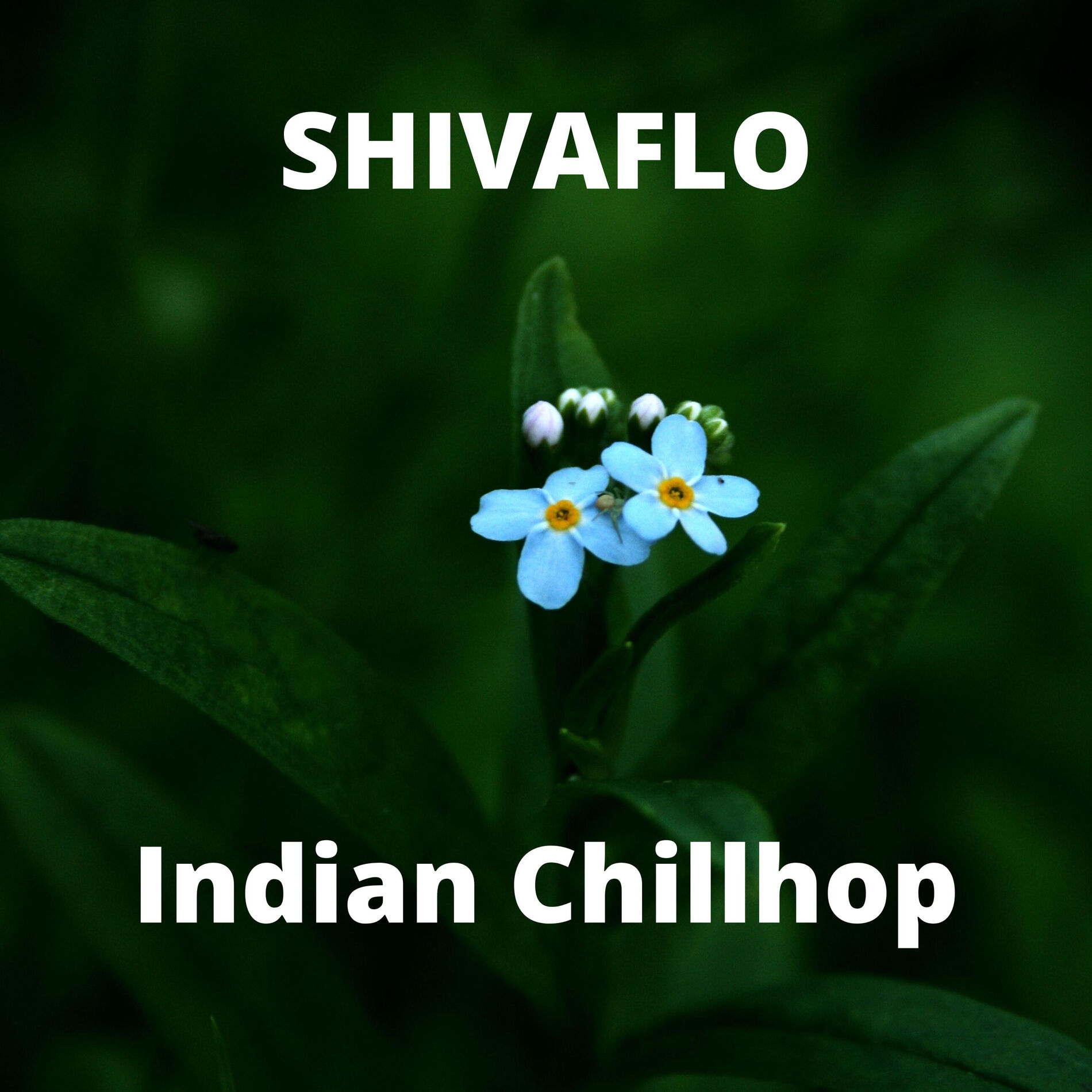Album cover of Masakali Indian Chillhop