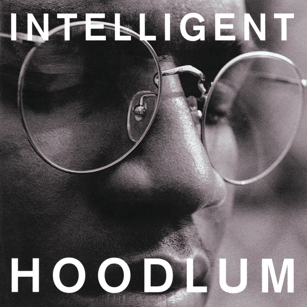 Picture of Intelligent Hoodlum