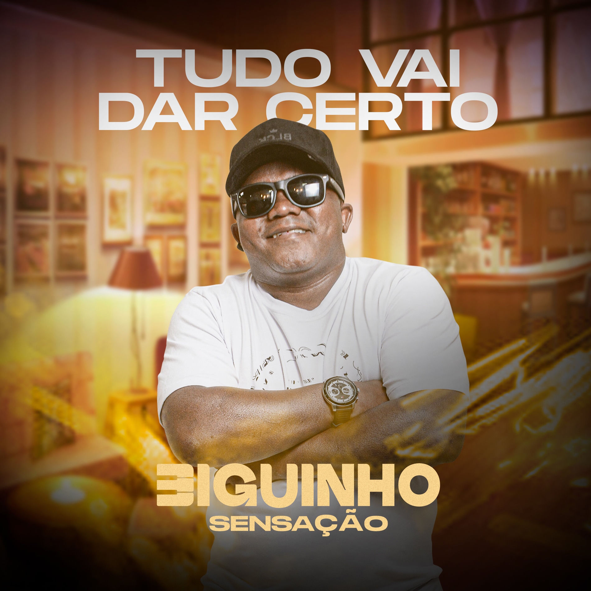 Album cover of Tudo Vai Dar Certo