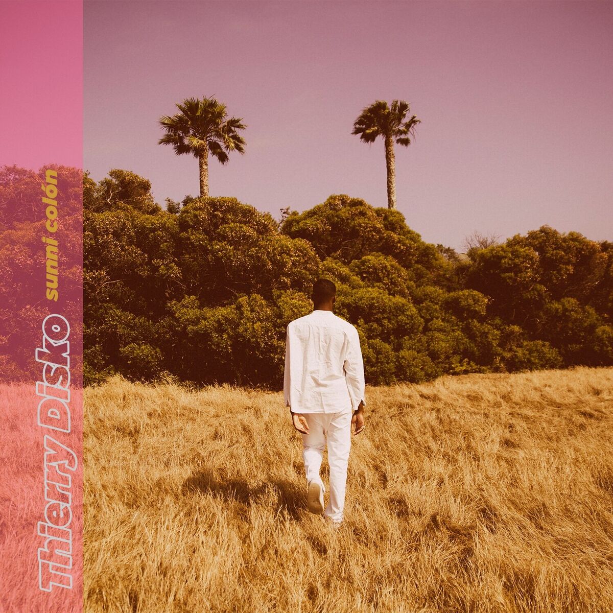 Album cover of Thierry Disko